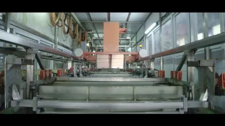 China FPC 1